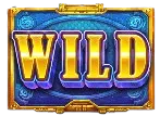 สัญลักษณ์พิเศษ WILD